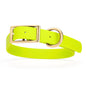 Viper Biothane Waterproof Collar - Brass Hardware - Size XL (22 to 25 inches)