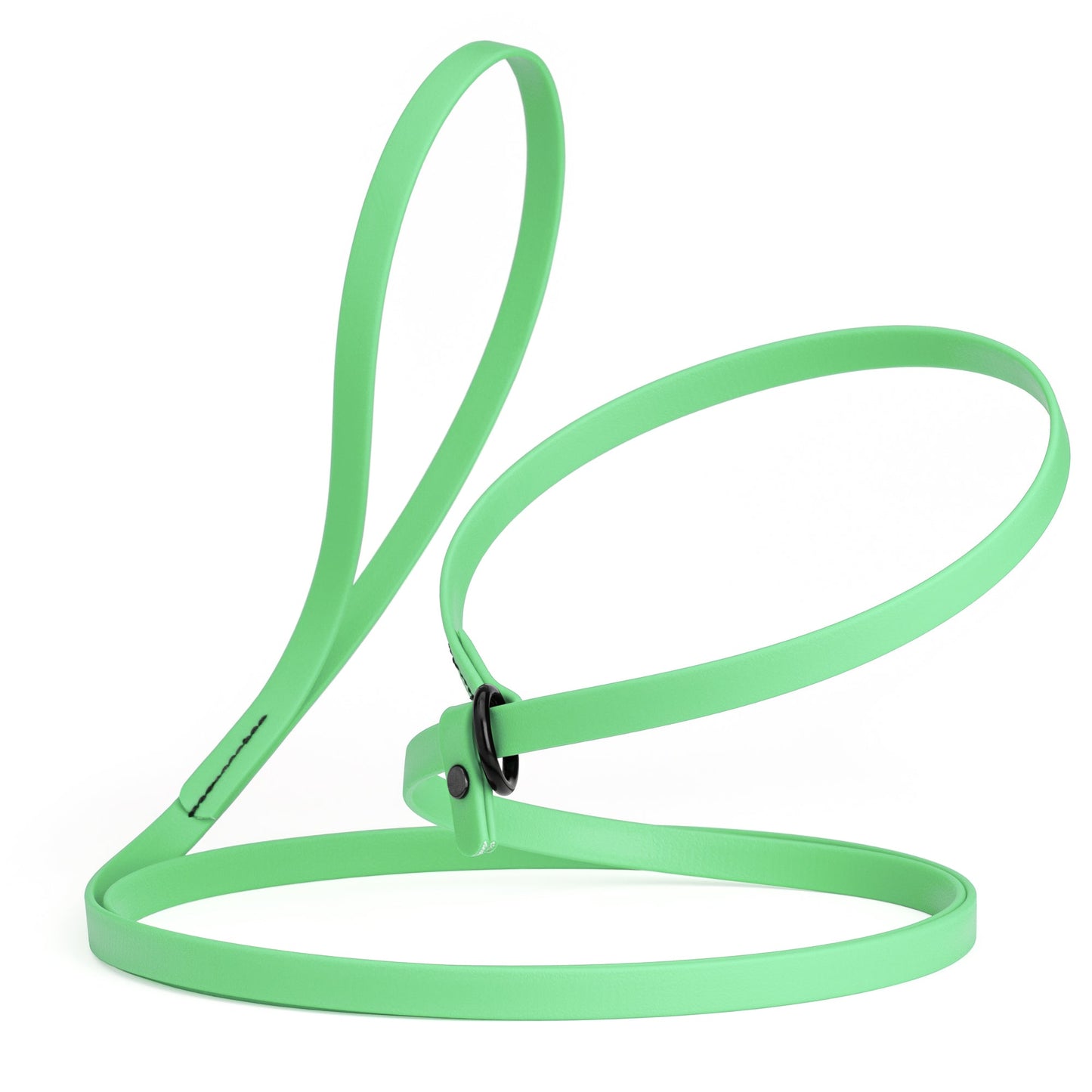 Biothane Dog Slip Lead