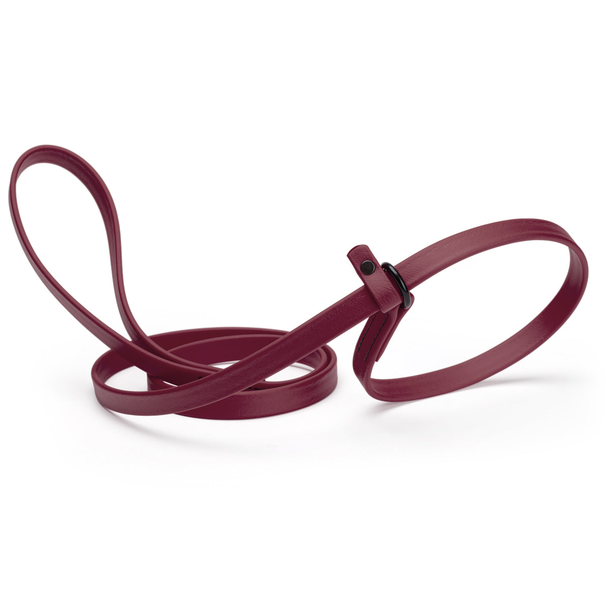 Biothane Dog Slip Lead