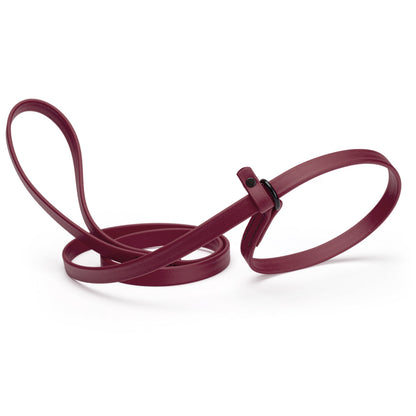 Biothane Dog Slip Lead