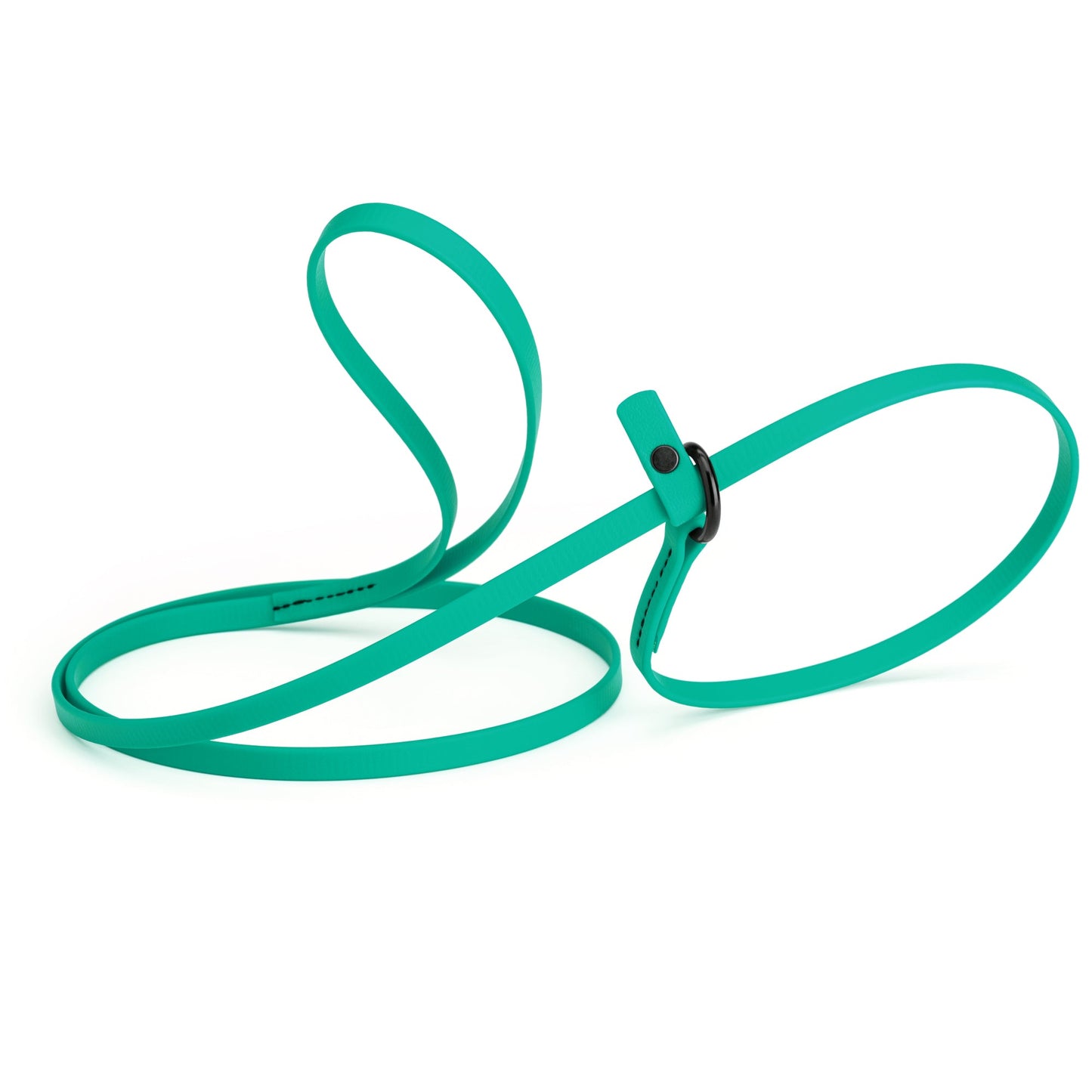 Biothane Dog Slip Lead