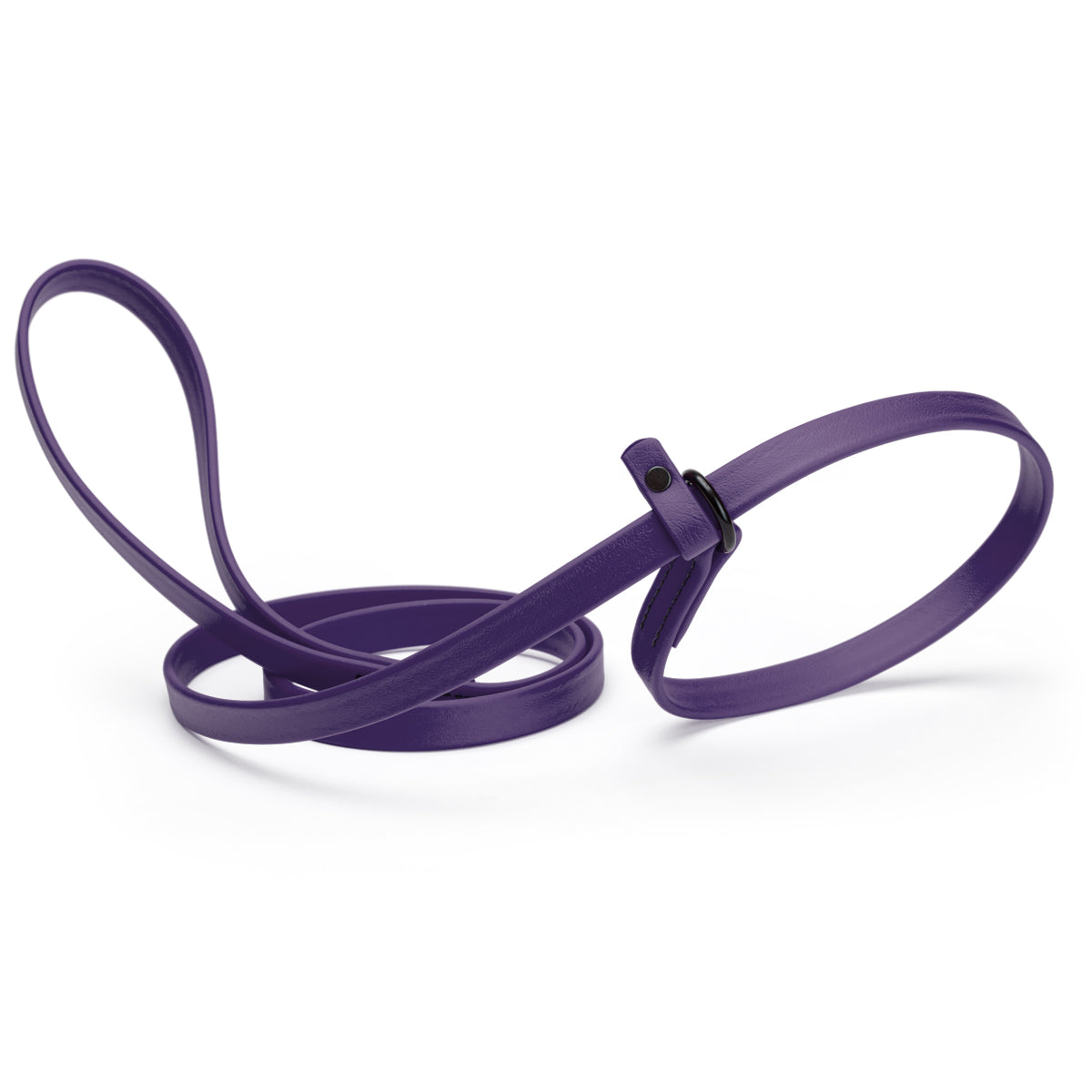 Biothane Dog Slip Lead
