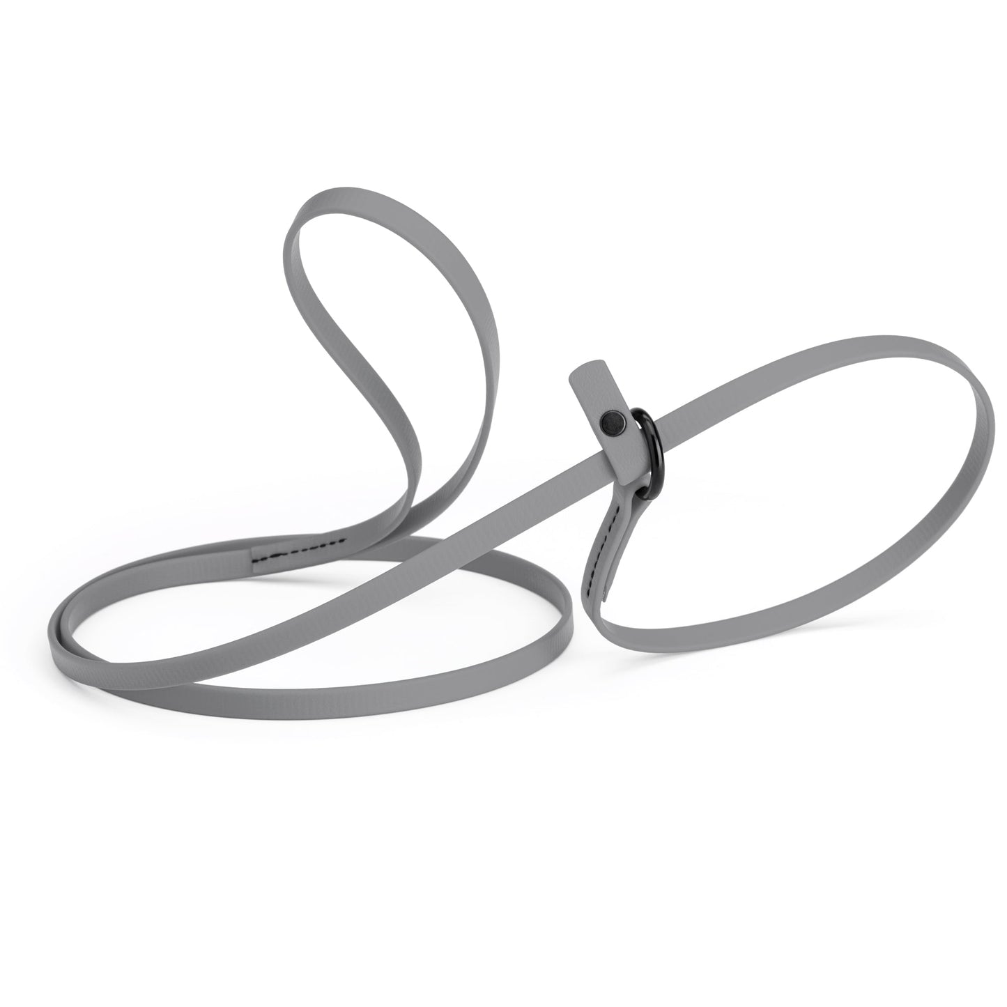 Biothane Dog Slip Lead