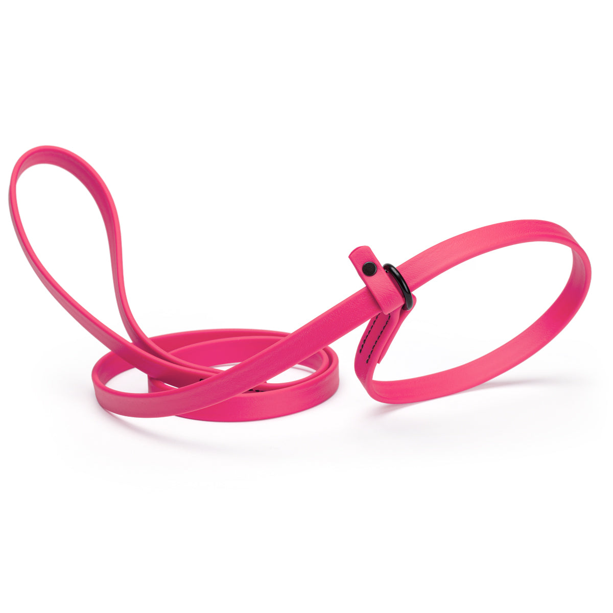 Biothane Dog Slip Lead