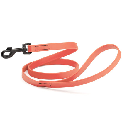 Biothane Waterproof Dog Leash 4 ft