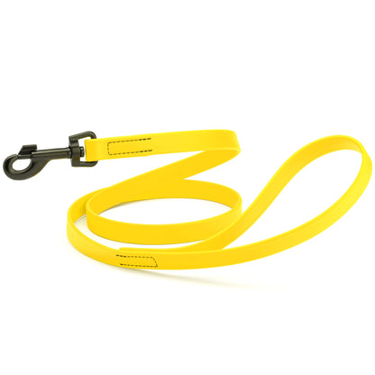 Biothane Waterproof Dog Leash 4 ft