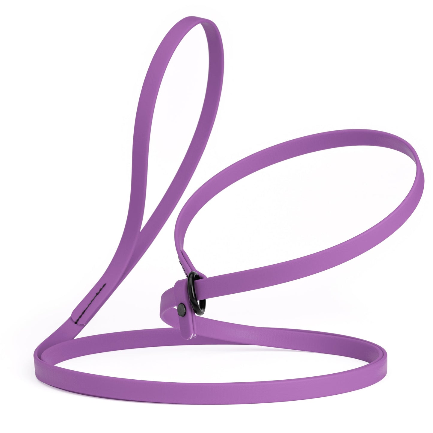 Biothane Dog Slip Lead