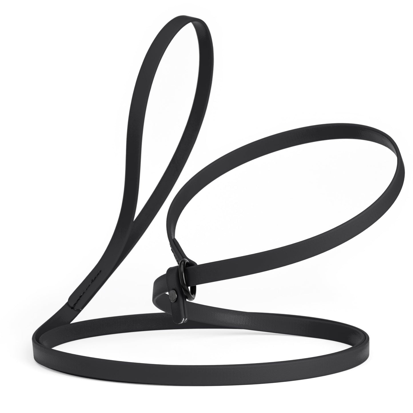 Biothane Dog Slip Lead