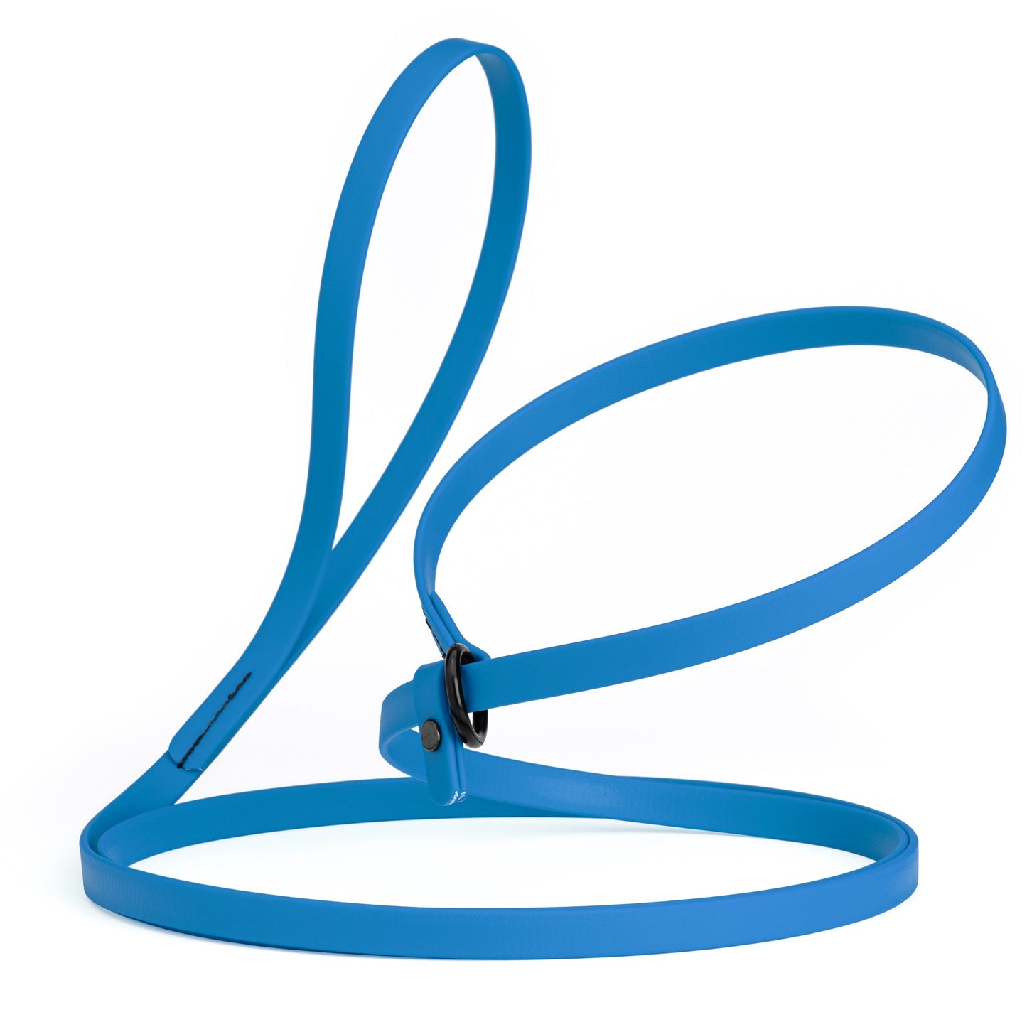 Biothane Dog Slip Lead