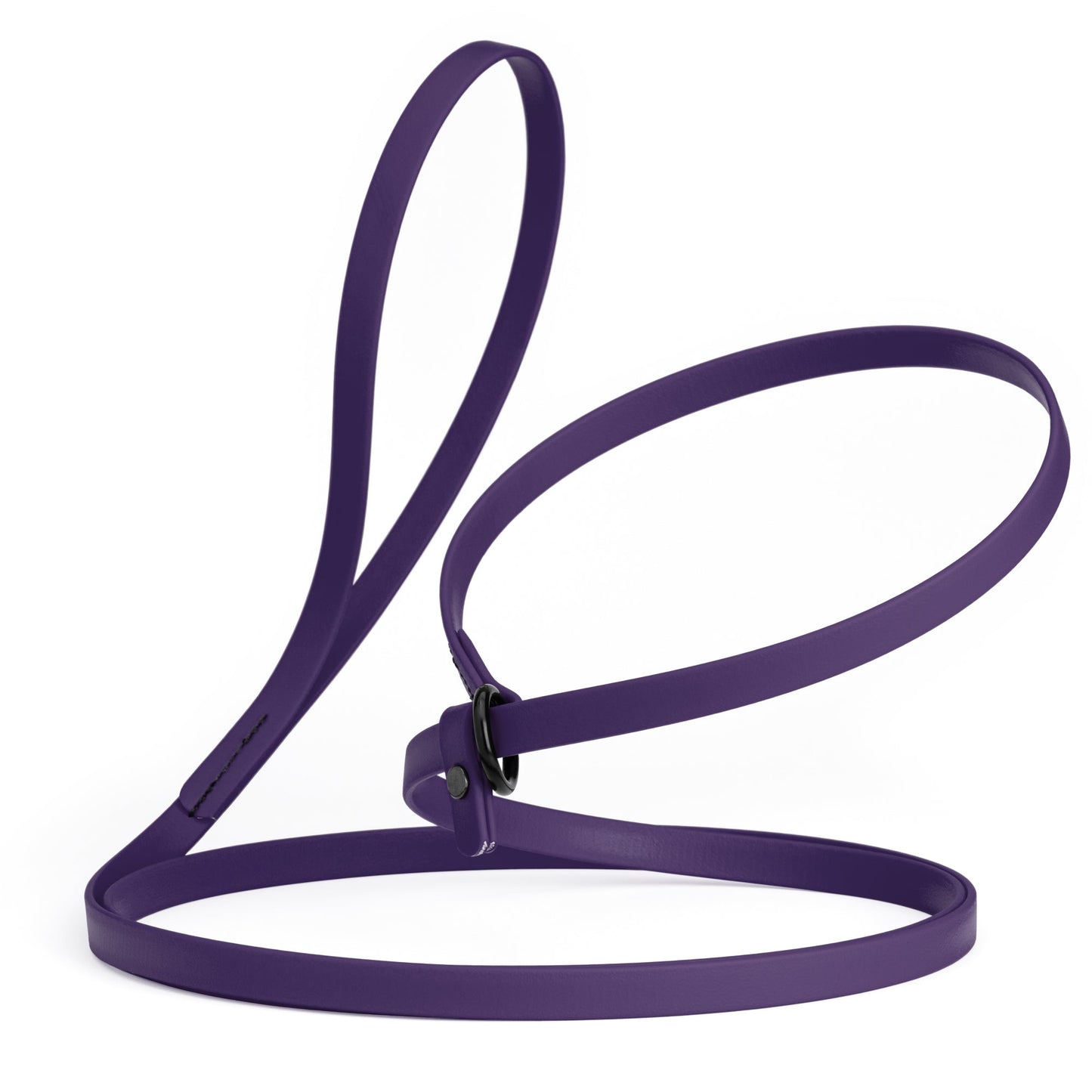 Biothane Dog Slip Lead