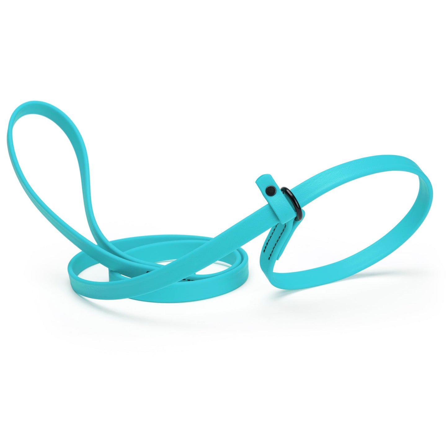 Biothane Dog Slip Lead
