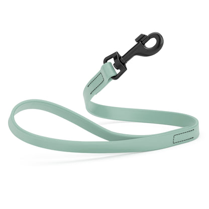 Biothane Waterproof Traffic Lead 2 ft