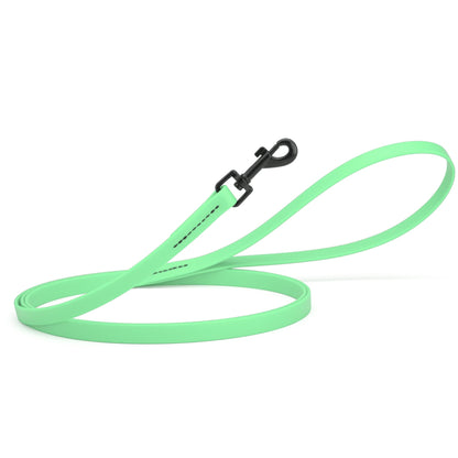 Biothane Waterproof Dog Leash 4 ft