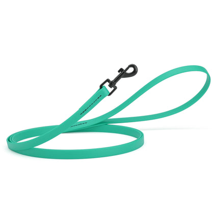 Biothane Waterproof Dog Leash 4 ft