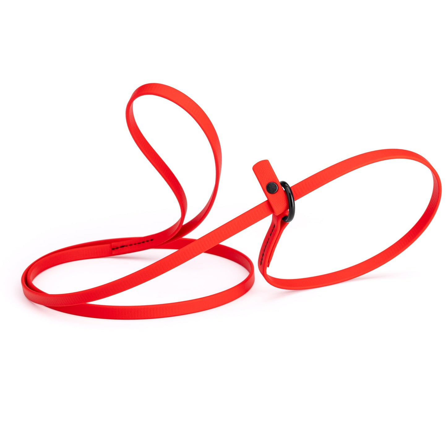 Biothane Dog Slip Lead