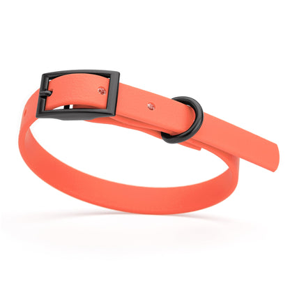 Biothane Waterproof Dog Collar - XS (9 to 12 inches)