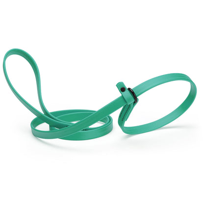 Biothane Dog Slip Lead