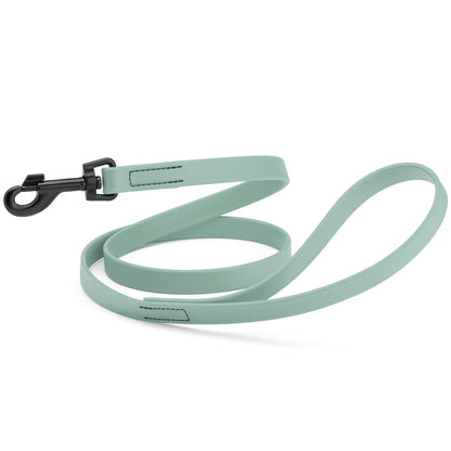 Biothane Waterproof Dog Leash 4 ft