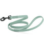 Biothane Waterproof Dog Leash 4 ft