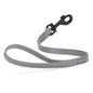 Biothane Waterproof Traffic Lead 2 ft