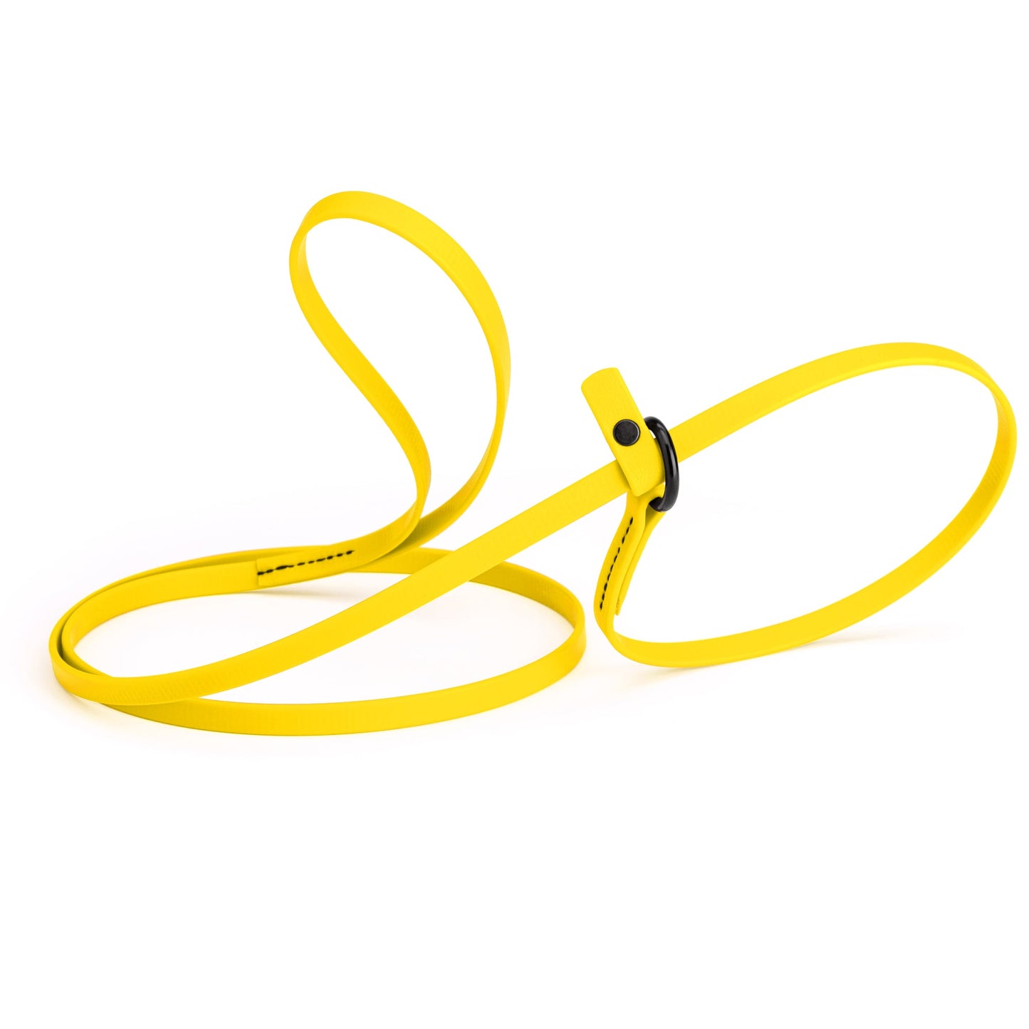Biothane Dog Slip Lead