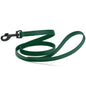 Biothane Waterproof Dog Leash 4 ft