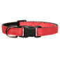 The No Limits - Cat Collar
