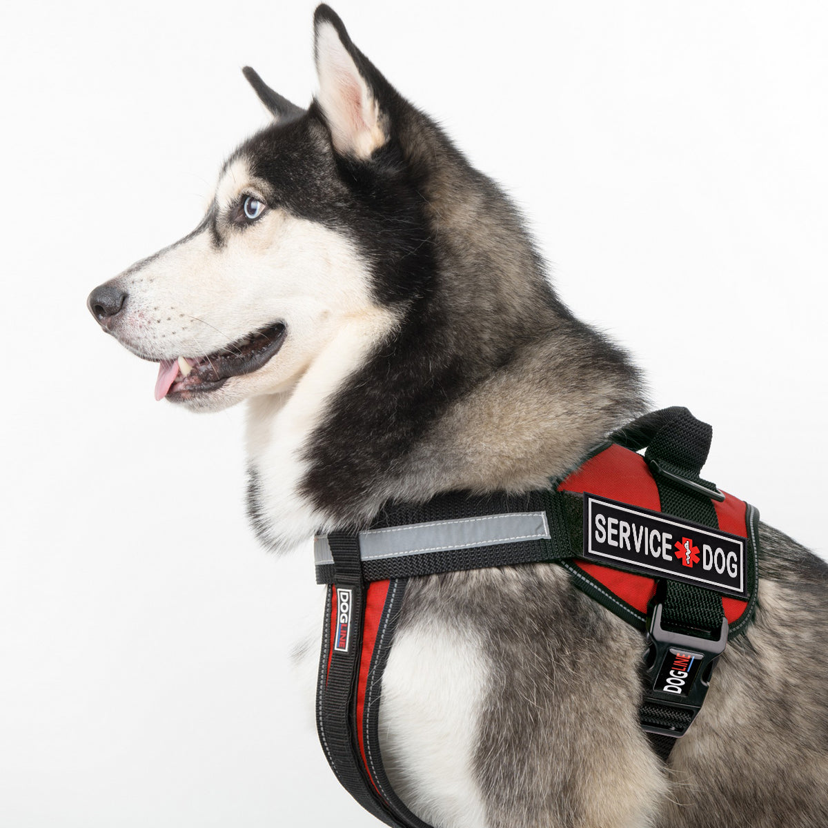 Dogline Service Dog 3D Rubber Accessories