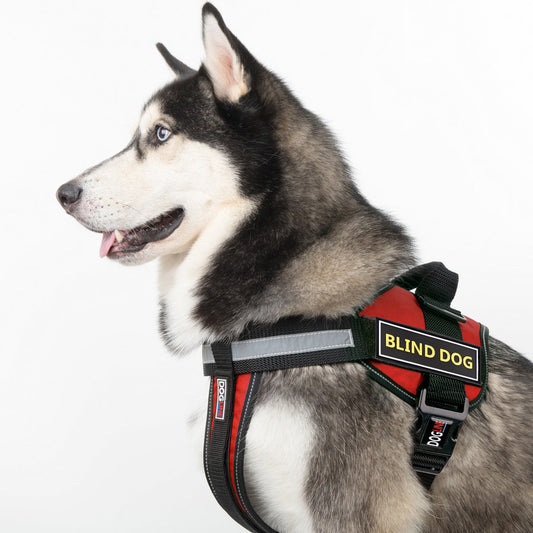 Dogline Blind Dog 3D Rubber Accessories