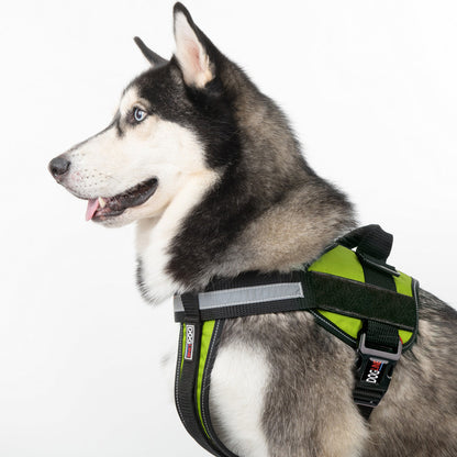 Unimax Multi-Purpose Dog Harness