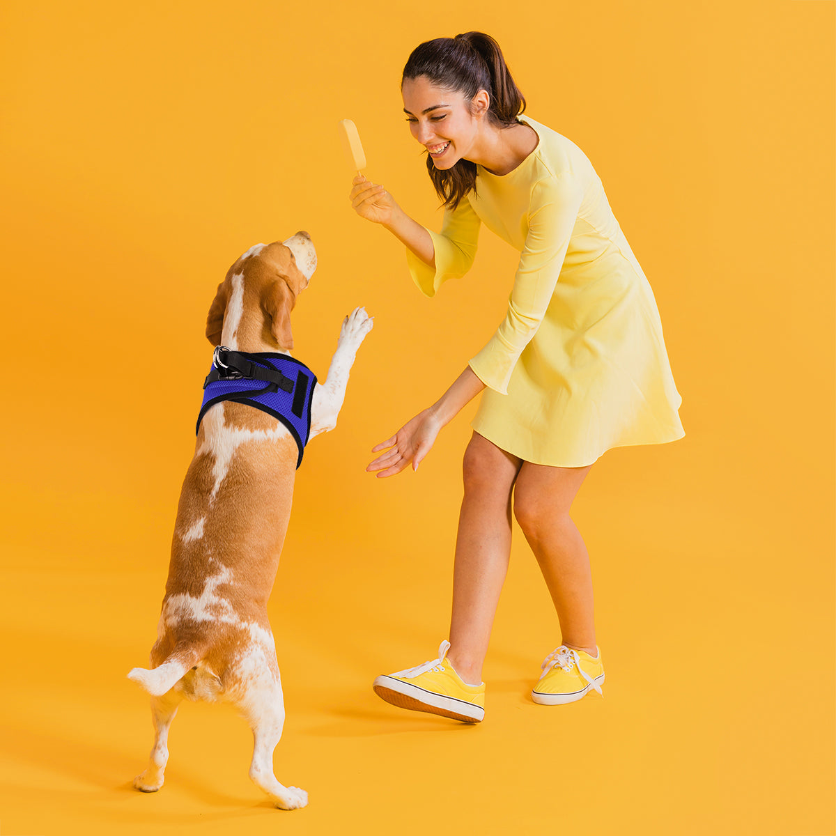 York Mesh Dog Harness + Built-in Hook & Loop Fasteners