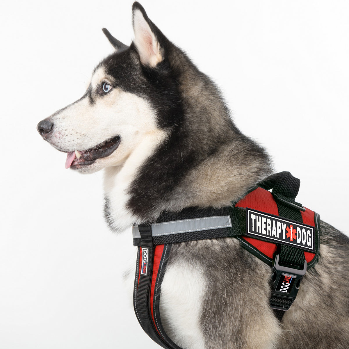 Dogline 3D Rubber Therapy Dog Removable Accessories for Dog Harness and Vest