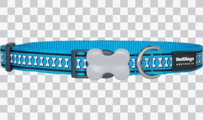 Buckle Bone Dog Collars - Reflective