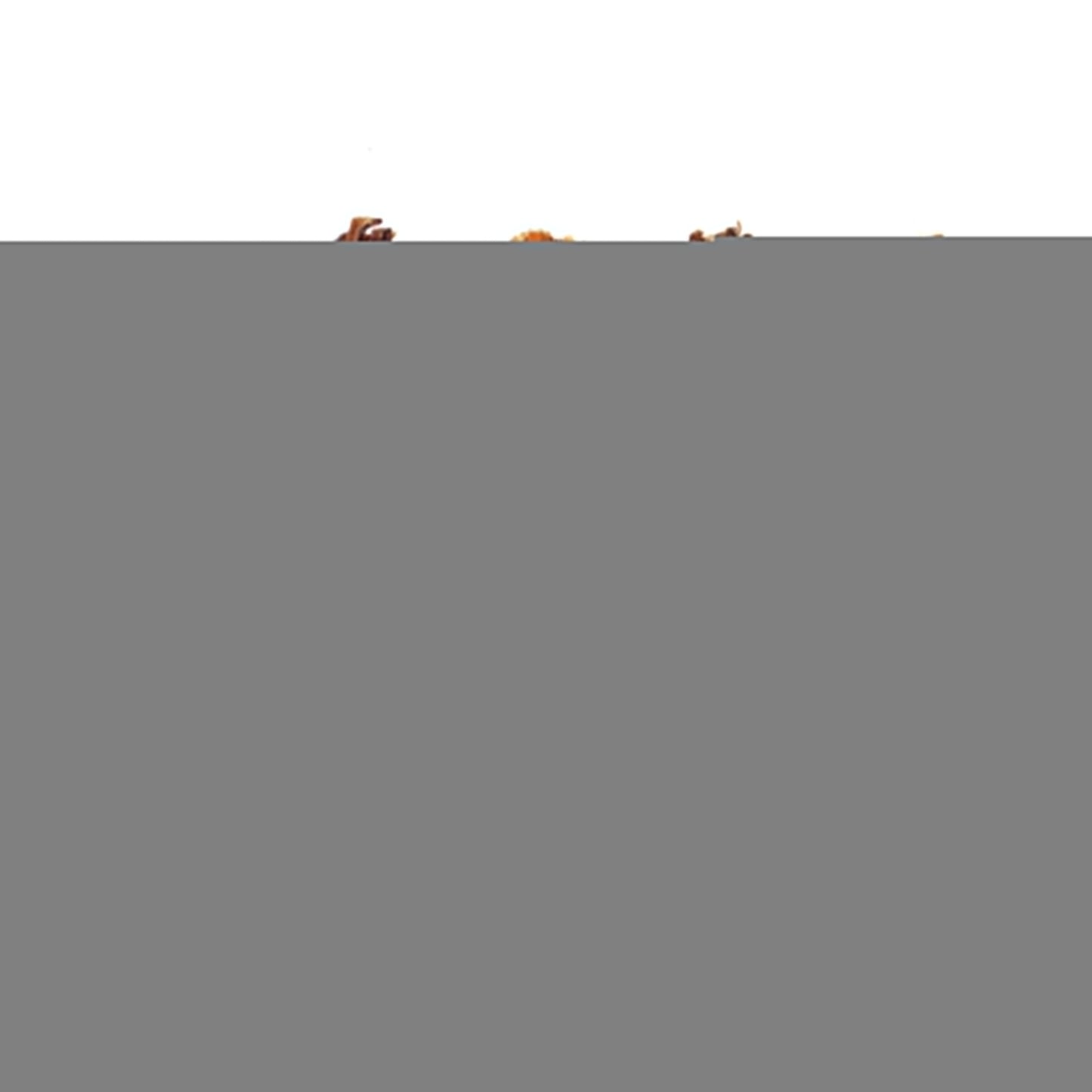 6" Braided Pork Pizzle (Bulk)- Pack of 25