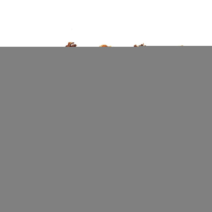 6" Braided Pork Pizzle (Bulk)- Pack of 25