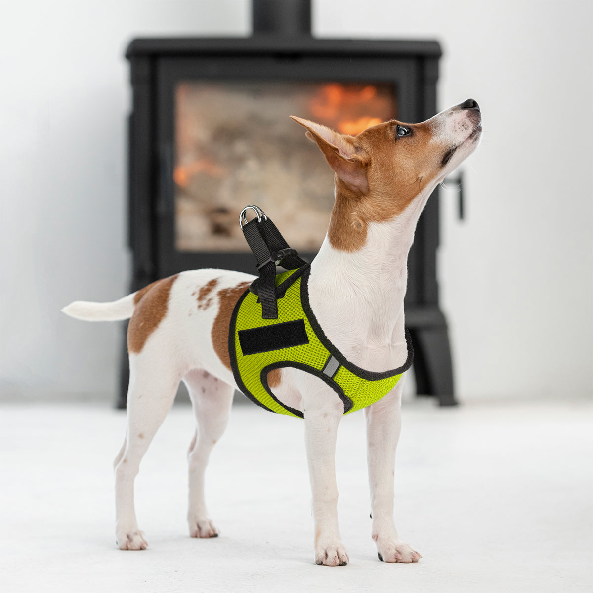 York Mesh Dog Harness + Built-in Hook & Loop Fasteners