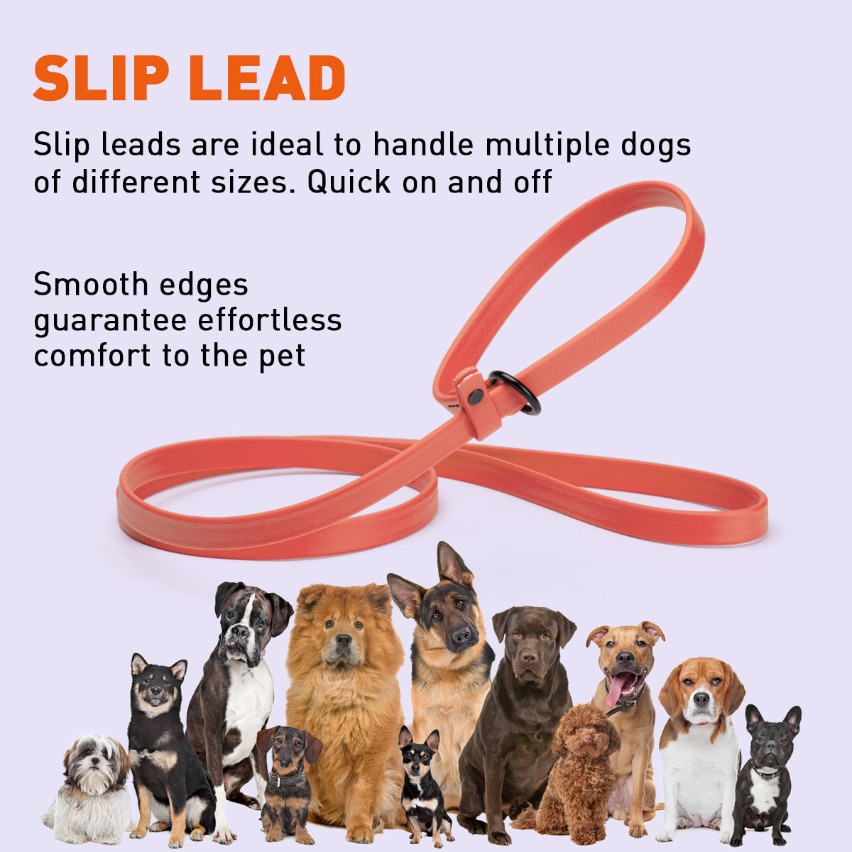 Biothane Dog Slip Lead