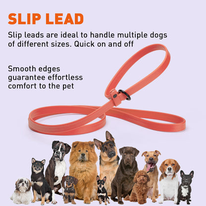 Biothane Dog Slip Lead