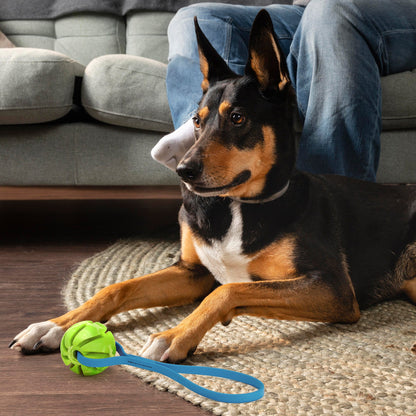 Rubber Spiral Ball Dog Toy with Biothane Handle