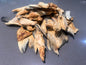 Freeze Dried Salmon Fins, Skin Rolls, Cubes- BULK