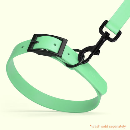 Biothane Waterproof Dog Collar - XS (9 to 12 inches)