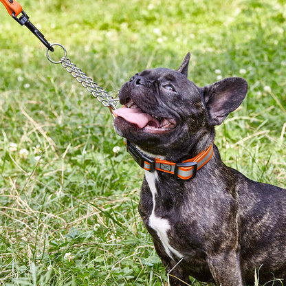Reflective Biothane Martingale Dog Collar with Quick Release Buckle