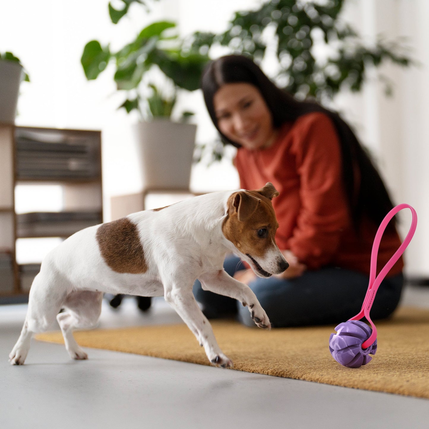 Rubber Spiral Ball Dog Toy with Biothane Handle