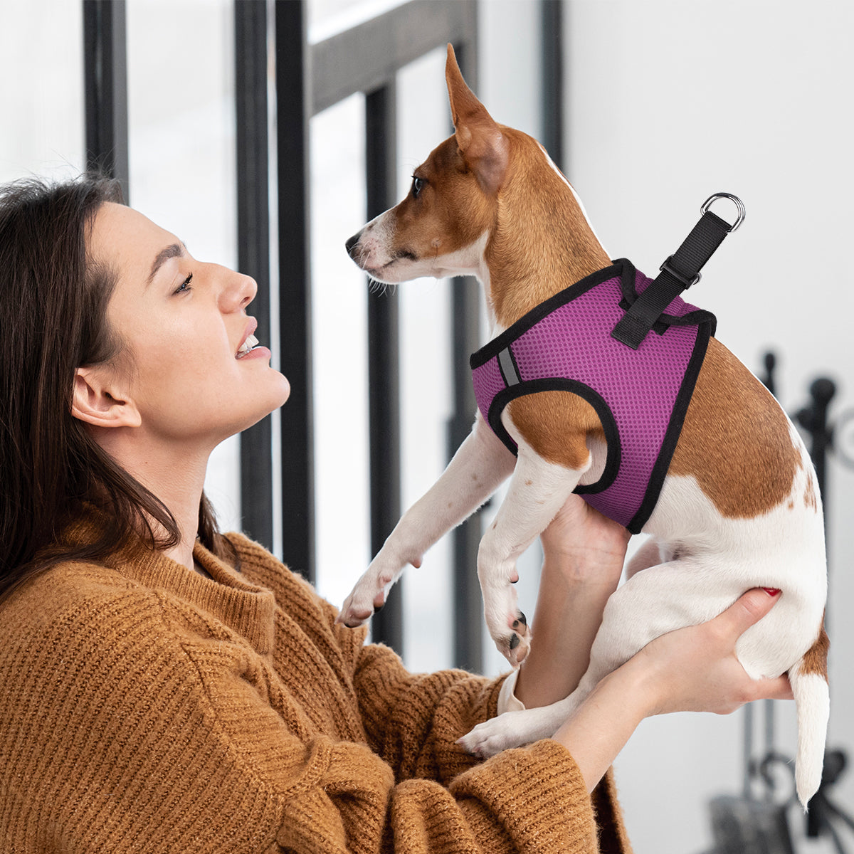 York Mesh Dog Harness
