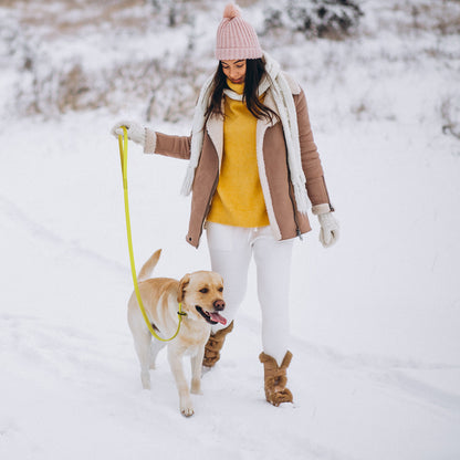 Biothane Dog Slip Lead