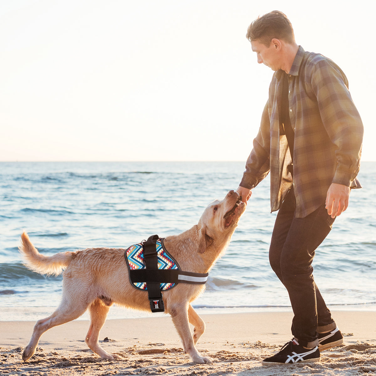 Unimax Multi-Purpose Dog Harness