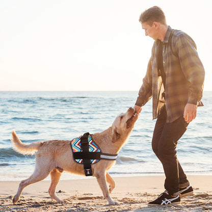 Unimax Multi-Purpose Dog Harness