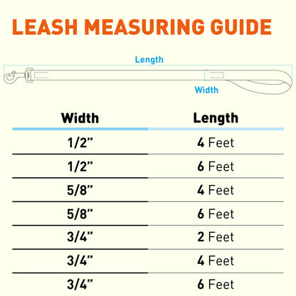 Biothane Waterproof Dog Leash 4 ft
