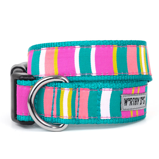 Donuts Collar