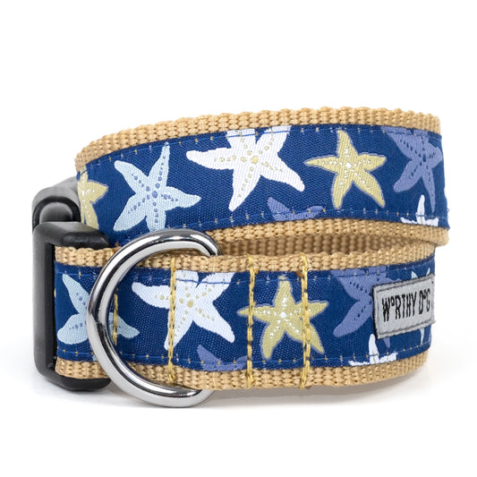 The Worthy Dog Starfish Collar in blue with white and yellow starfish pattern